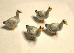 gås, gäss, mini gås, mini gäss,