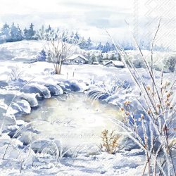 servett, servetter , rimfrost , vinter