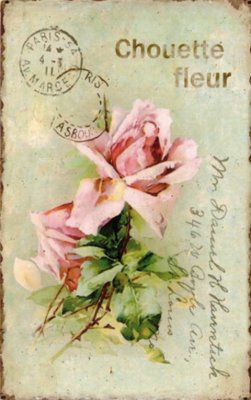 Servett: Chouette Fleur