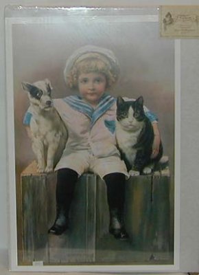 Plansch: Pojke i sjömanskostym, hund och katt
