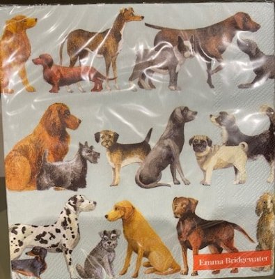dogs, servetter, hund, hundar,