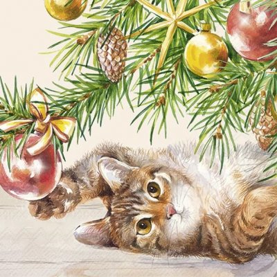 servett, servetter, katt julgran, julgran , kissekatt
