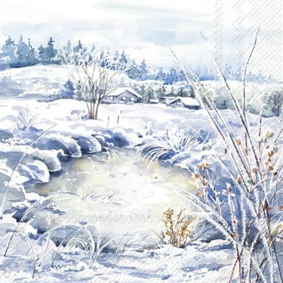 servett, servetter , rimfrost , vinter